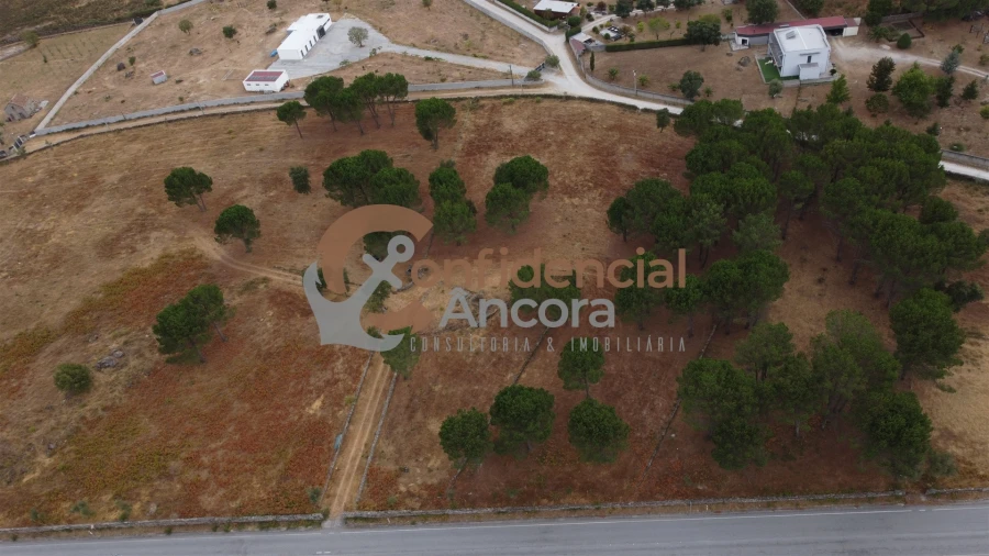 Terreno para Venda em Rio Torto e Lagarinhos Foto 47