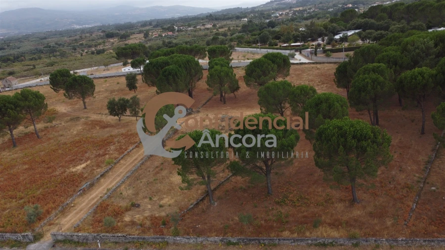 Terreno para Venda em Rio Torto e Lagarinhos Foto 53