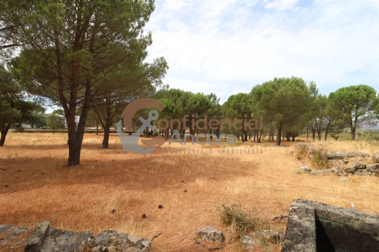 Terreno para Venda em Rio Torto e Lagarinhos Foto 38