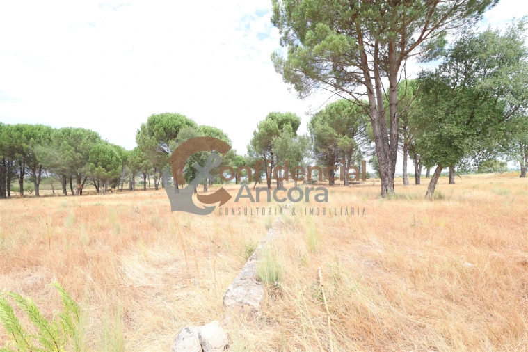 Terreno para Venda em Rio Torto e Lagarinhos Foto 9