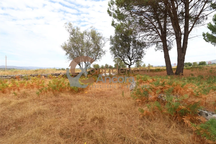 Terreno para Venda em Rio Torto e Lagarinhos Foto 19