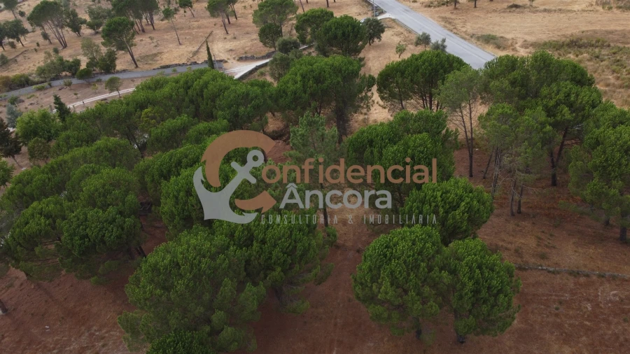 Terreno para Venda em Rio Torto e Lagarinhos Foto 60