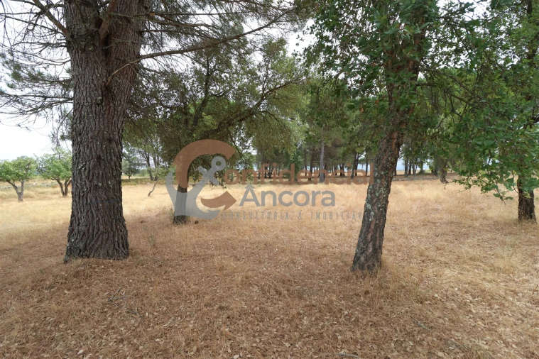 Terreno para Venda em Rio Torto e Lagarinhos Foto 15
