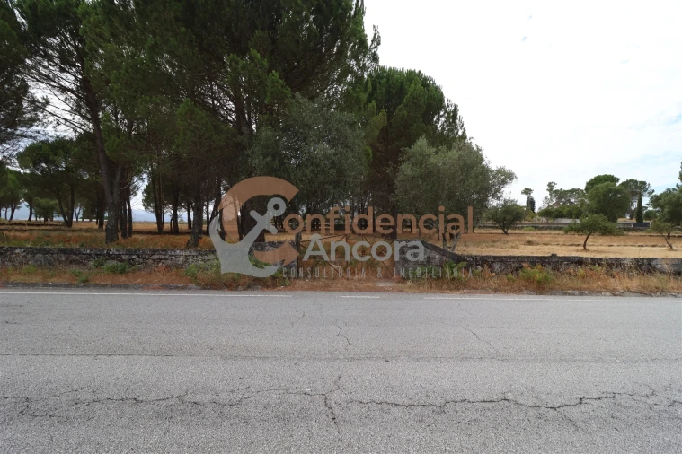 Terreno para Venda em Rio Torto e Lagarinhos Foto 22