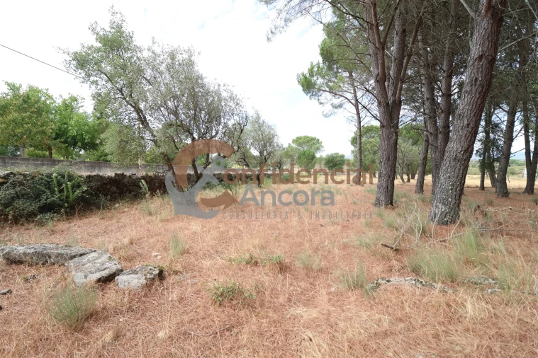 Terreno para Venda em Rio Torto e Lagarinhos Foto 12