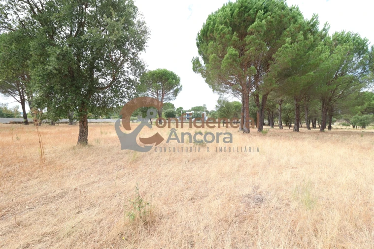 Terreno para Venda em Rio Torto e Lagarinhos Foto 5