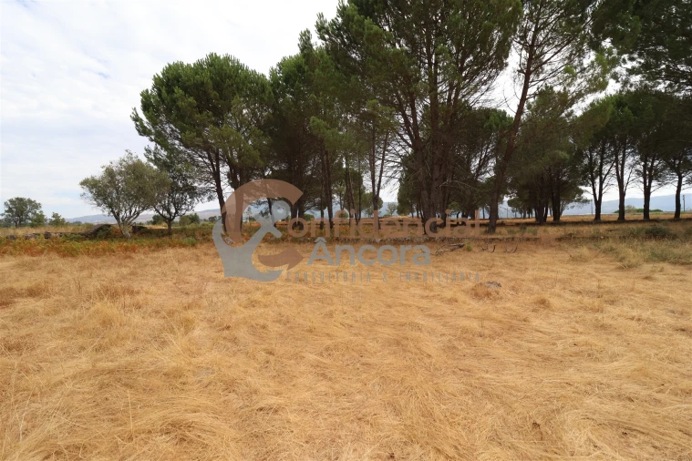 Terreno para Venda em Rio Torto e Lagarinhos Foto 17