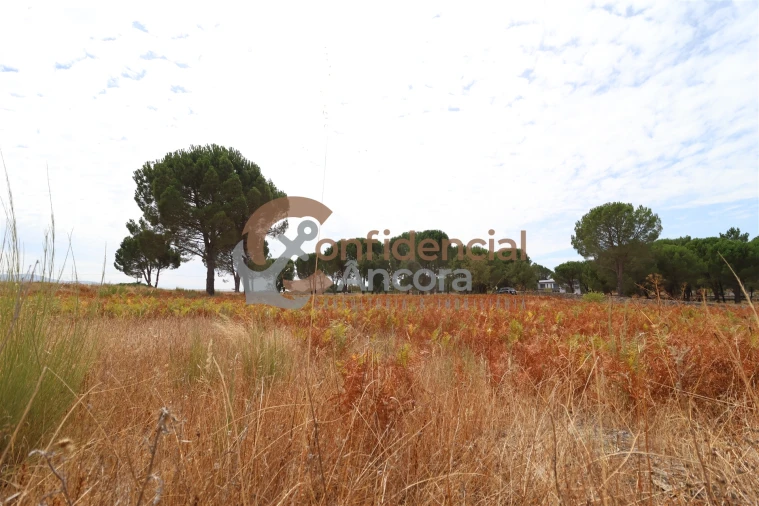 Terreno para Venda em Rio Torto e Lagarinhos Foto 32