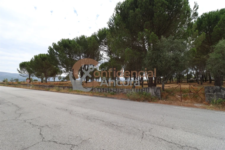 Terreno para Venda em Rio Torto e Lagarinhos Foto 21