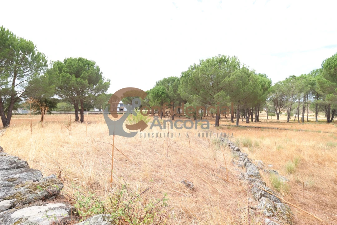 Terreno para Venda em Rio Torto e Lagarinhos Foto 4