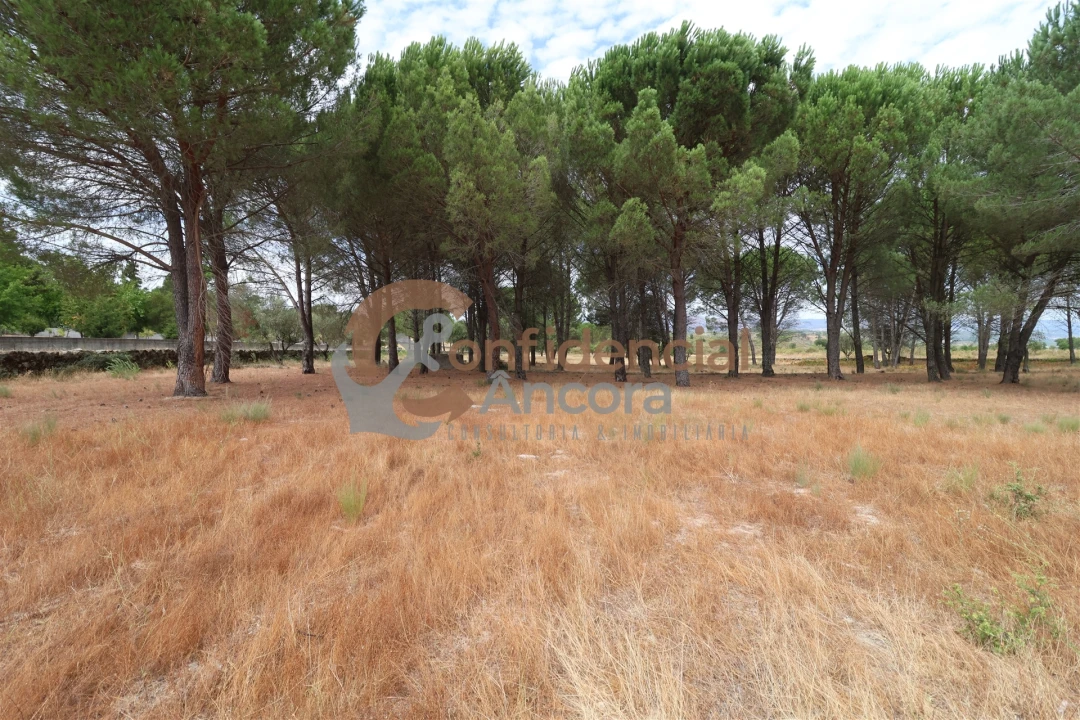 Terreno para Venda em Rio Torto e Lagarinhos Foto 11