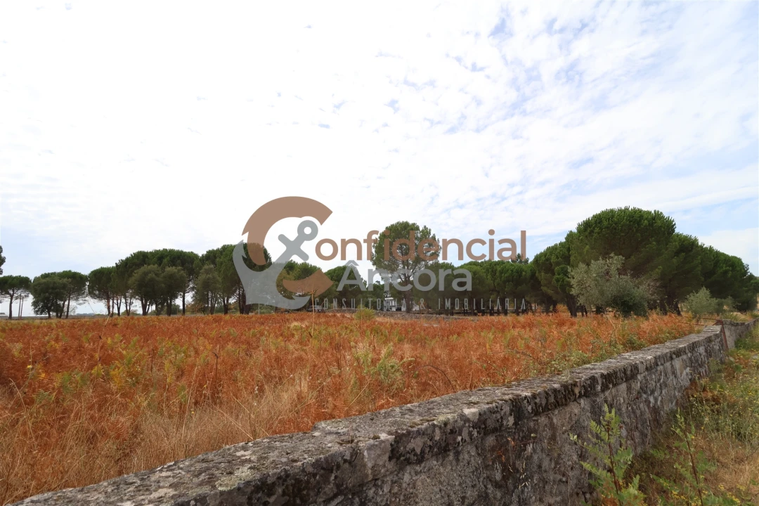 Terreno para Venda em Rio Torto e Lagarinhos Foto 33