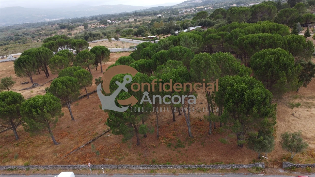 Terreno para Venda em Rio Torto e Lagarinhos Foto 52