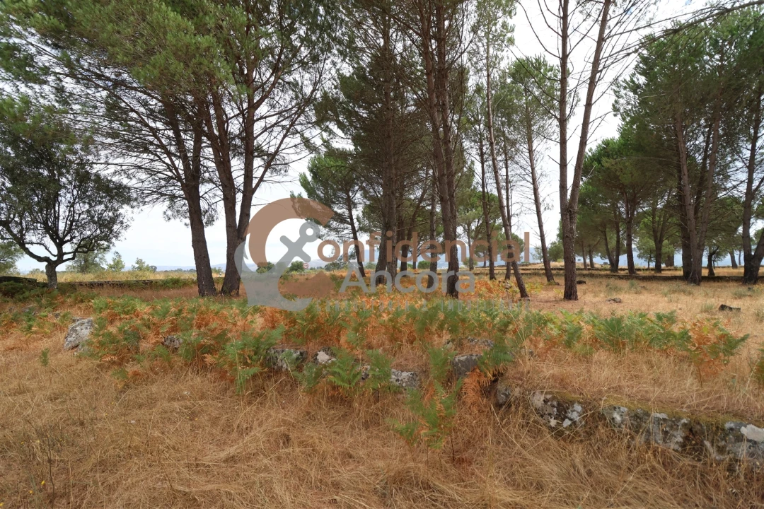 Terreno para Venda em Rio Torto e Lagarinhos Foto 18