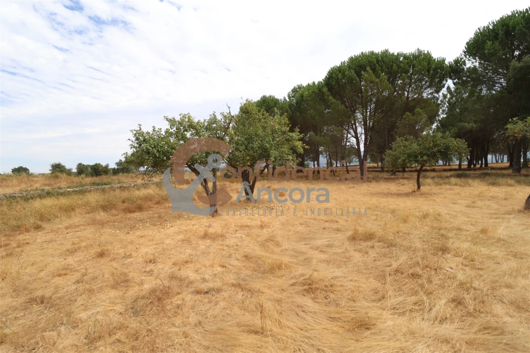 Terreno para Venda em Rio Torto e Lagarinhos Foto 16