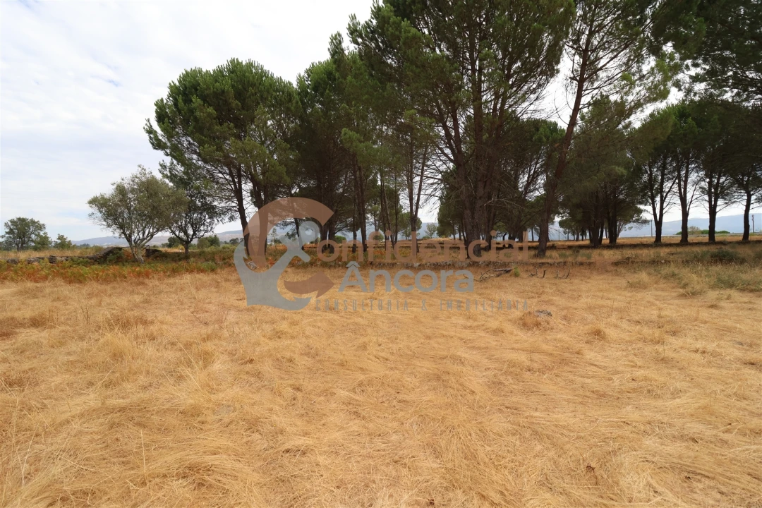 Terreno para Venda em Rio Torto e Lagarinhos Foto 17