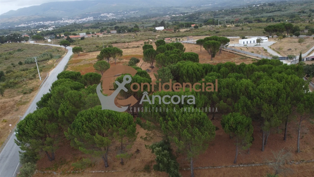 Terreno para Venda em Rio Torto e Lagarinhos Foto 41