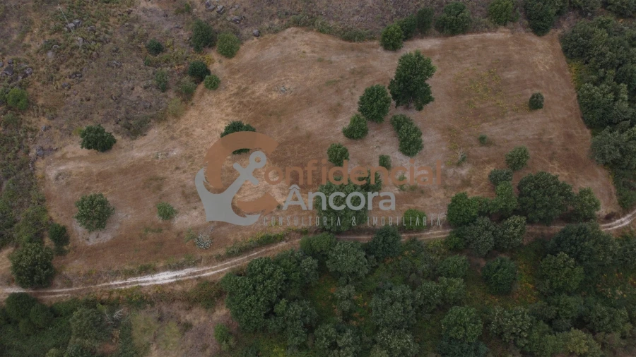 Terreno para Venda em Vila Franca da Serra