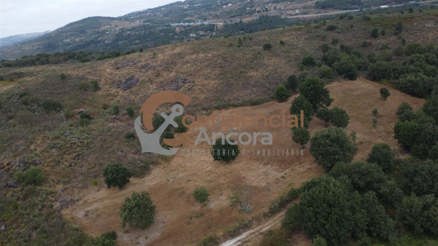 Terreno para Venda em Vila Franca da Serra Foto 4