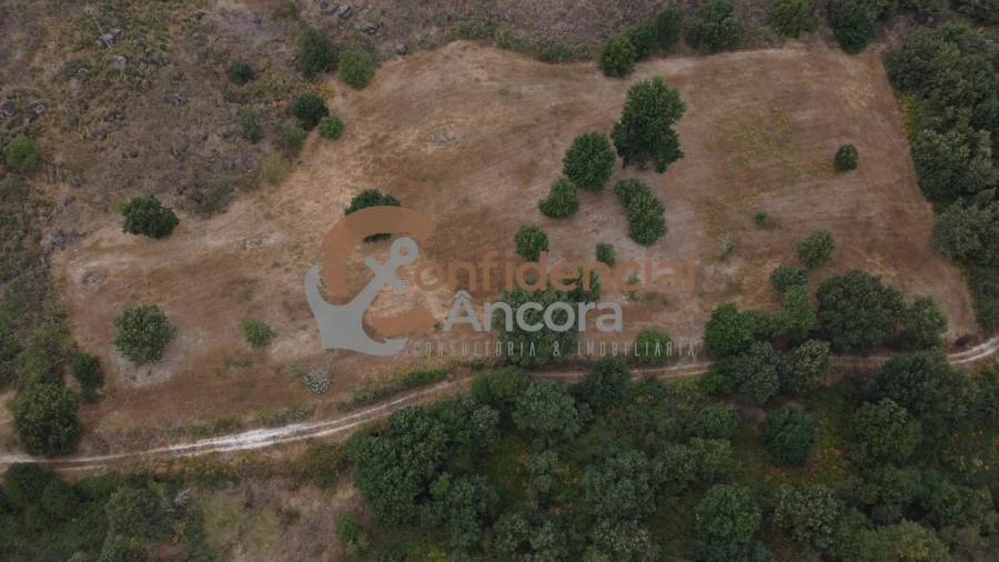 Terreno para Venda em Vila Franca da Serra