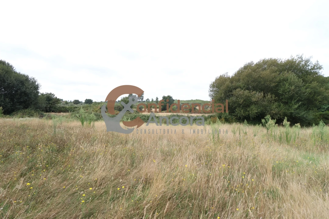 Terreno para Venda em Vila Franca da Serra Foto 7
