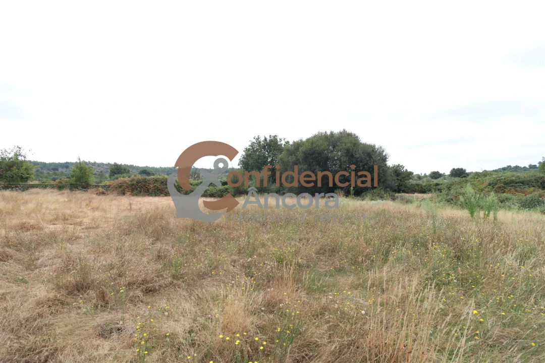 Terreno para Venda em Vila Franca da Serra Foto 8