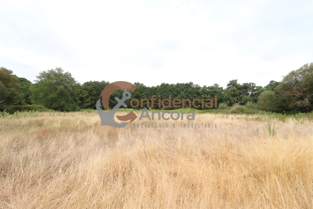 Terreno para Venda em Vila Franca da Serra Foto 6