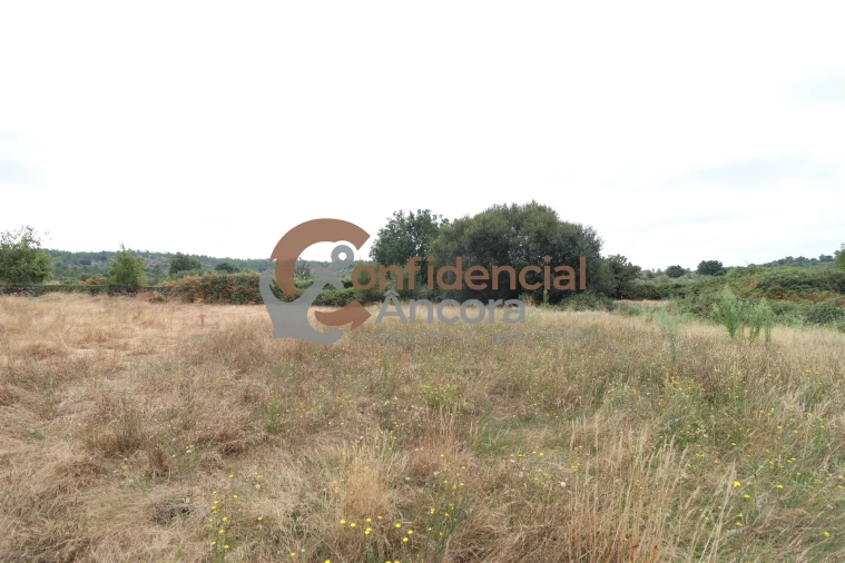 Terreno para Venda em Vila Franca da Serra Foto 8