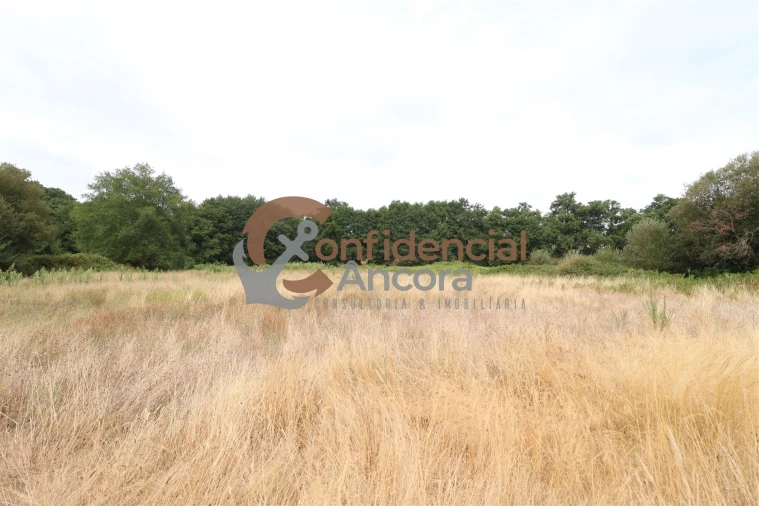Terreno para Venda em Vila Franca da Serra Foto 6