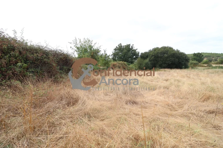 Terreno para Venda em Vila Franca da Serra Foto 2
