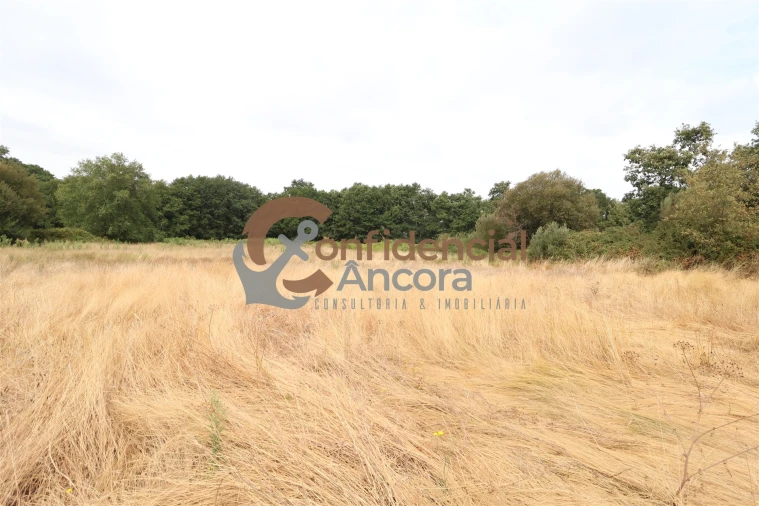 Terreno para Venda em Vila Franca da Serra Foto 4