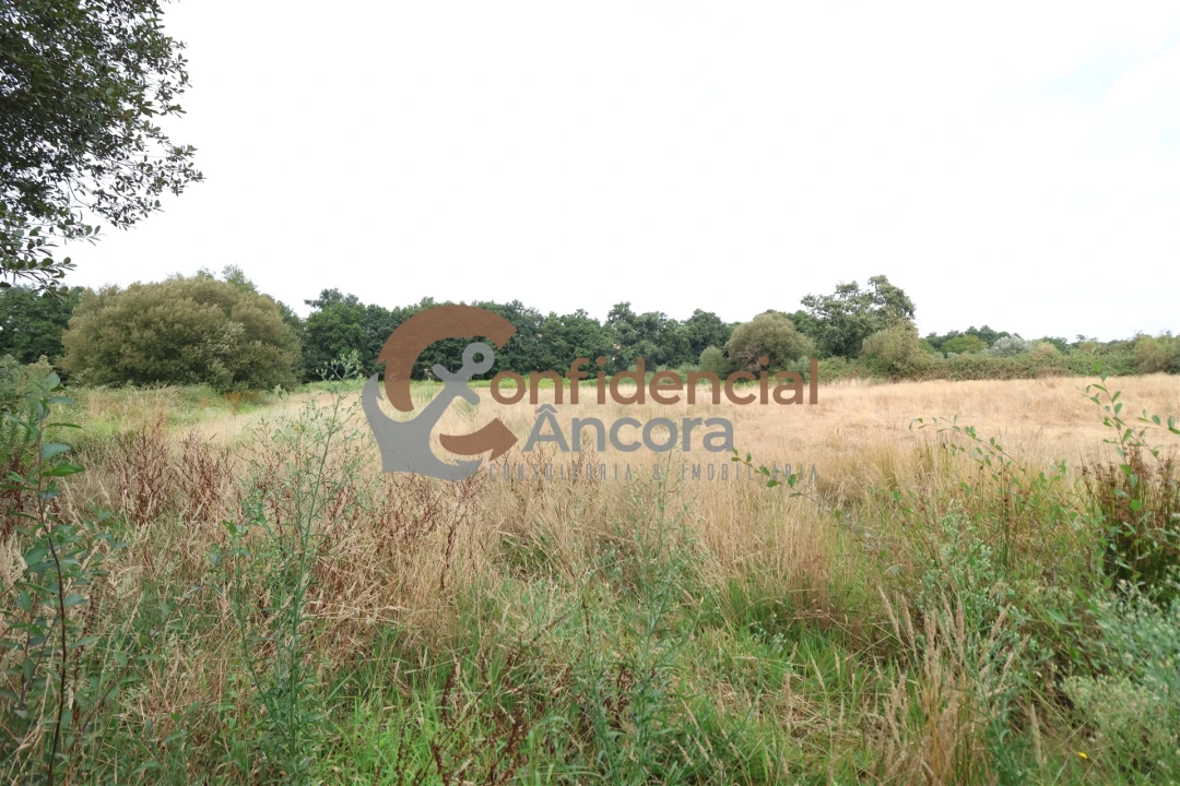 Terreno para Venda em Vila Franca da Serra Foto 10