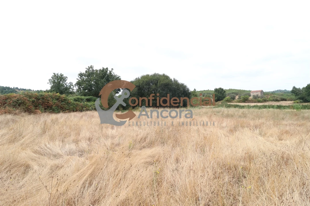 Terreno para Venda em Vila Franca da Serra Foto 5