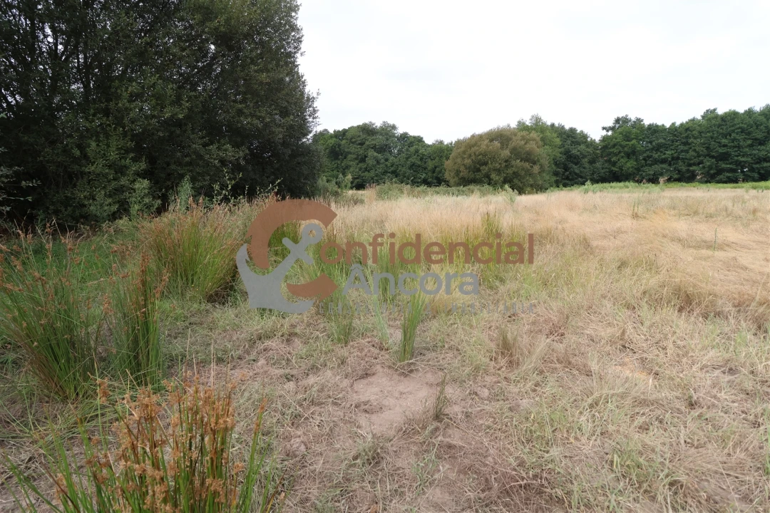 Terreno para Venda em Vila Franca da Serra Foto 9