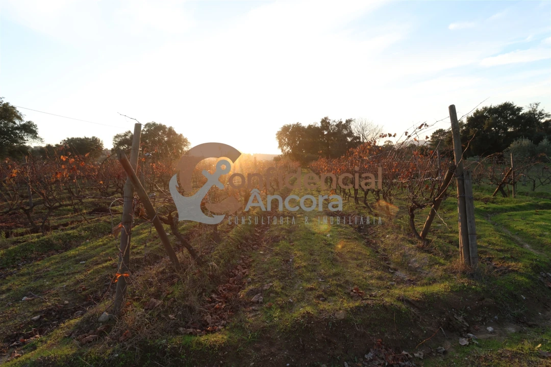 Quinta T1 para Venda em Juncais, Vila Ruiva e Vila Soeiro do Chão Foto 33