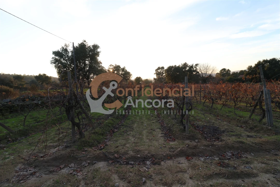 Quinta T1 para Venda em Juncais, Vila Ruiva e Vila Soeiro do Chão Foto 31