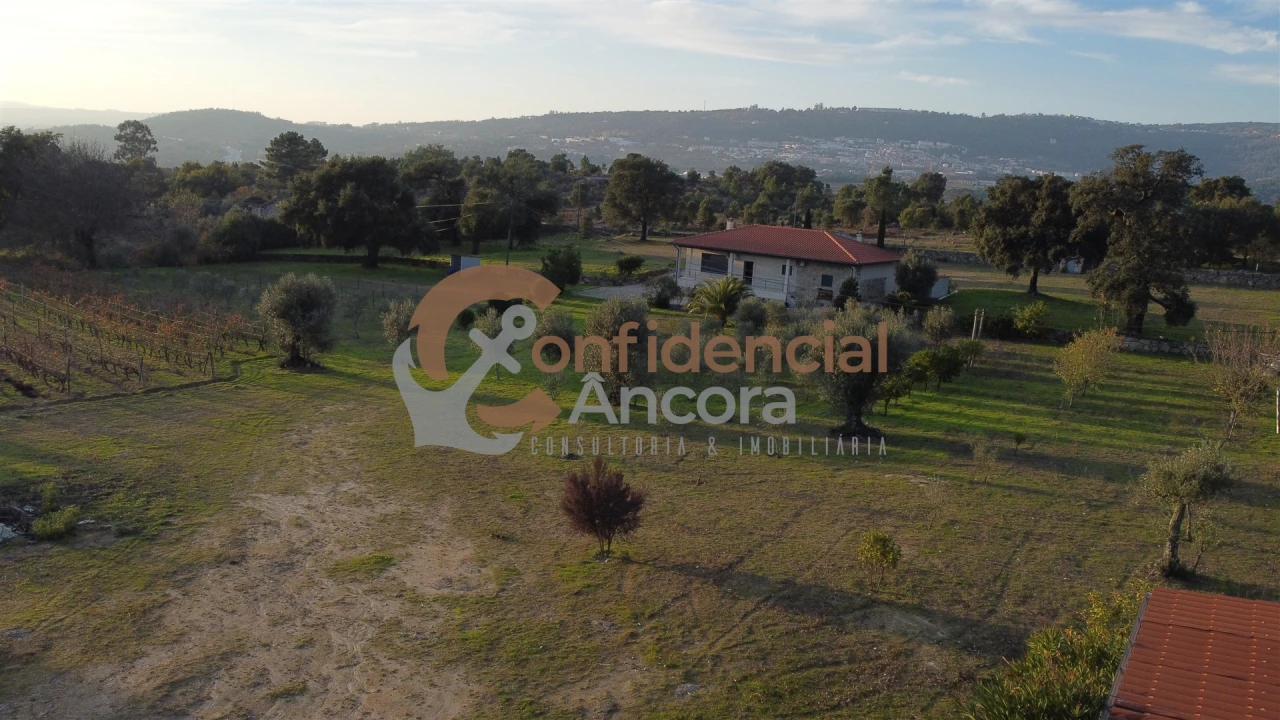 Quinta T1 para Venda em Juncais, Vila Ruiva e Vila Soeiro do Chão Foto 85