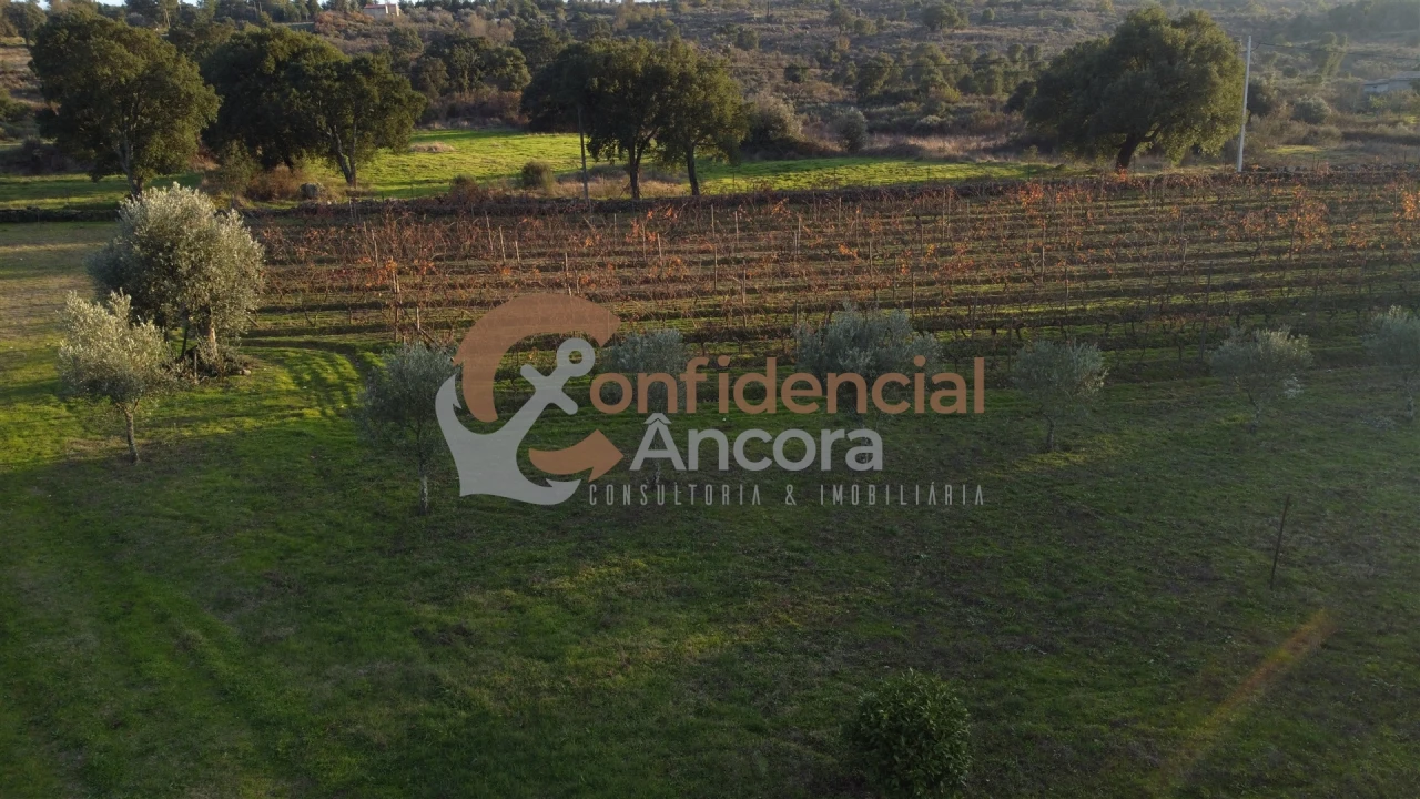 Quinta T1 para Venda em Juncais, Vila Ruiva e Vila Soeiro do Chão Foto 76