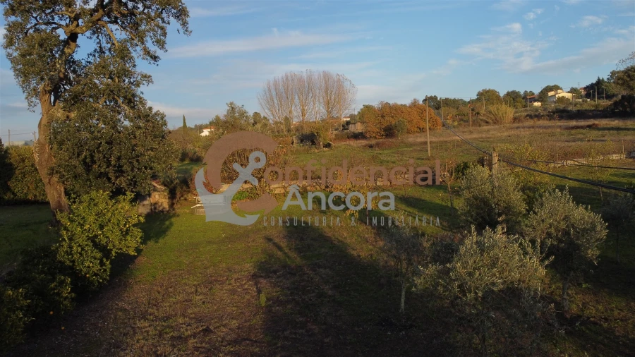 Quinta T1 para Venda em Juncais, Vila Ruiva e Vila Soeiro do Chão Foto 80