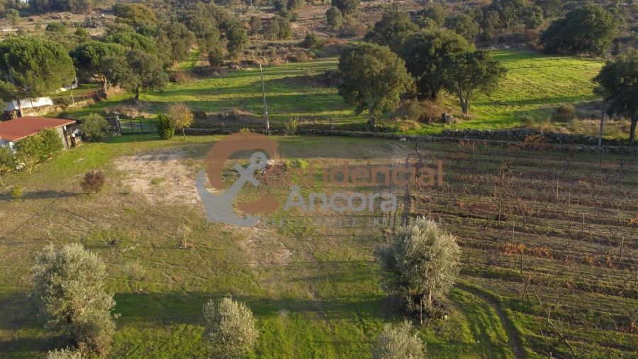 Quinta T1 para Venda em Juncais, Vila Ruiva e Vila Soeiro do Chão Foto 63