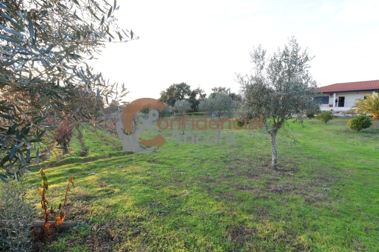 Quinta T1 para Venda em Juncais, Vila Ruiva e Vila Soeiro do Chão Foto 34