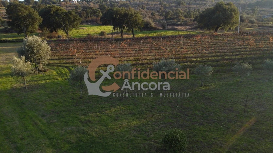 Quinta T1 para Venda em Juncais, Vila Ruiva e Vila Soeiro do Chão Foto 76