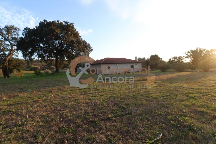 Quinta T1 para Venda em Juncais, Vila Ruiva e Vila Soeiro do Chão Foto 18