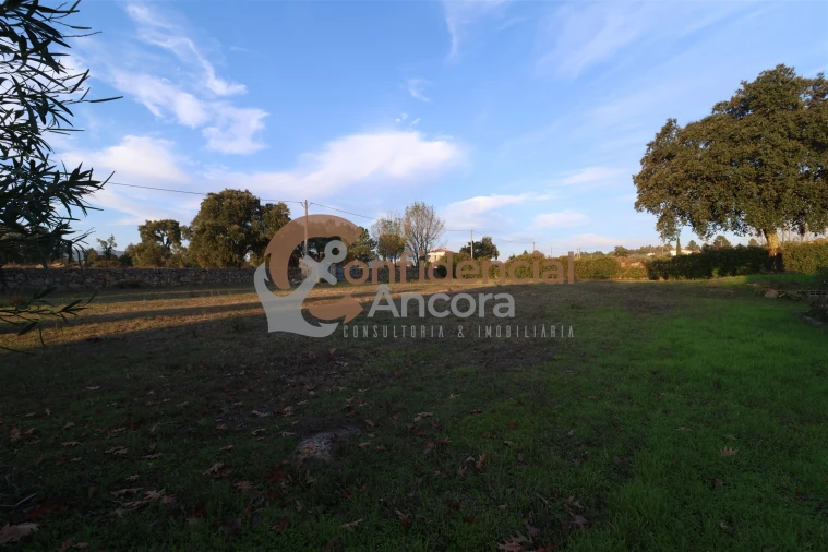 Quinta T1 para Venda em Juncais, Vila Ruiva e Vila Soeiro do Chão Foto 7