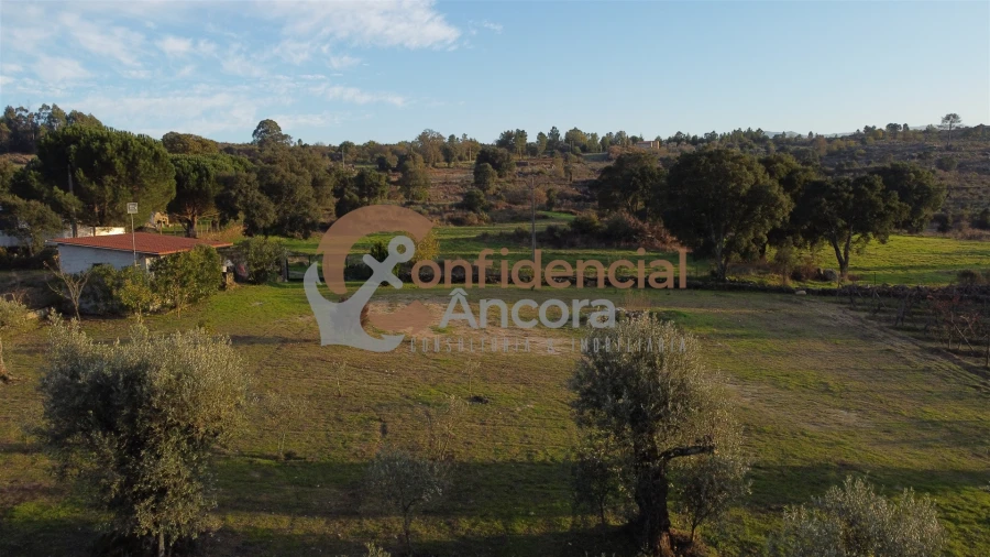 Quinta T1 para Venda em Juncais, Vila Ruiva e Vila Soeiro do Chão Foto 83