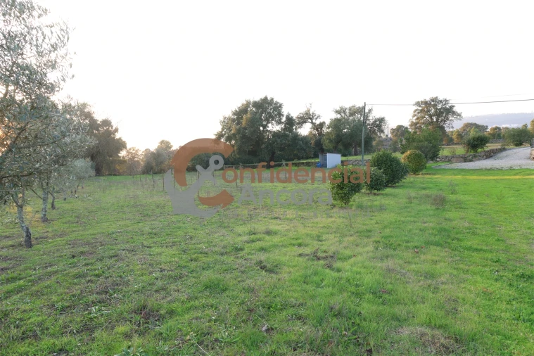 Quinta T1 para Venda em Juncais, Vila Ruiva e Vila Soeiro do Chão Foto 35