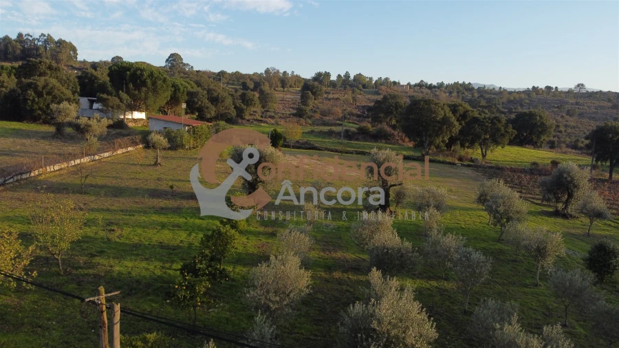 Quinta T1 para Venda em Juncais, Vila Ruiva e Vila Soeiro do Chão Foto 82