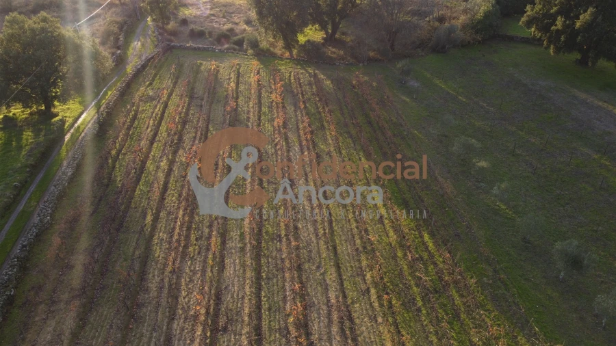 Quinta T1 para Venda em Juncais, Vila Ruiva e Vila Soeiro do Chão Foto 64