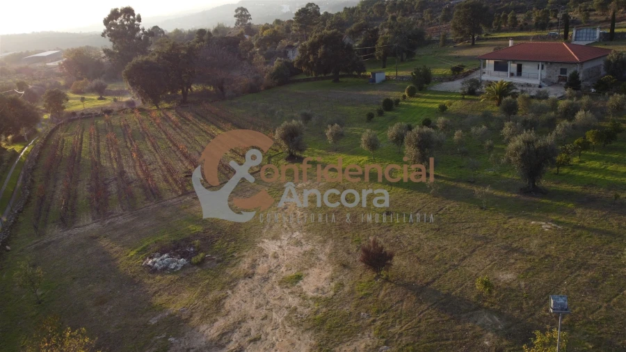 Quinta T1 para Venda em Juncais, Vila Ruiva e Vila Soeiro do Chão Foto 87