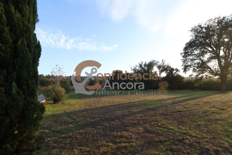 Quinta T1 para Venda em Juncais, Vila Ruiva e Vila Soeiro do Chão Foto 15